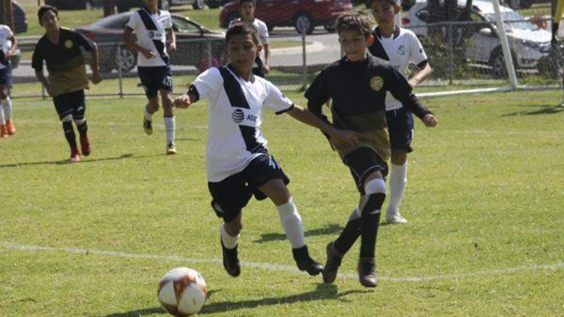 Sub 12 puebla